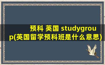 预科 英国 studygroup(英国留学预科班是什么意思)